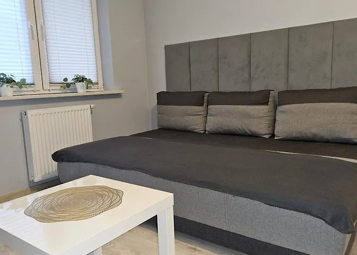 Apartament Jedenastka Płock